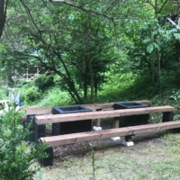 共用BBQ台