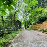道路は舗装されていて車が入りやすい